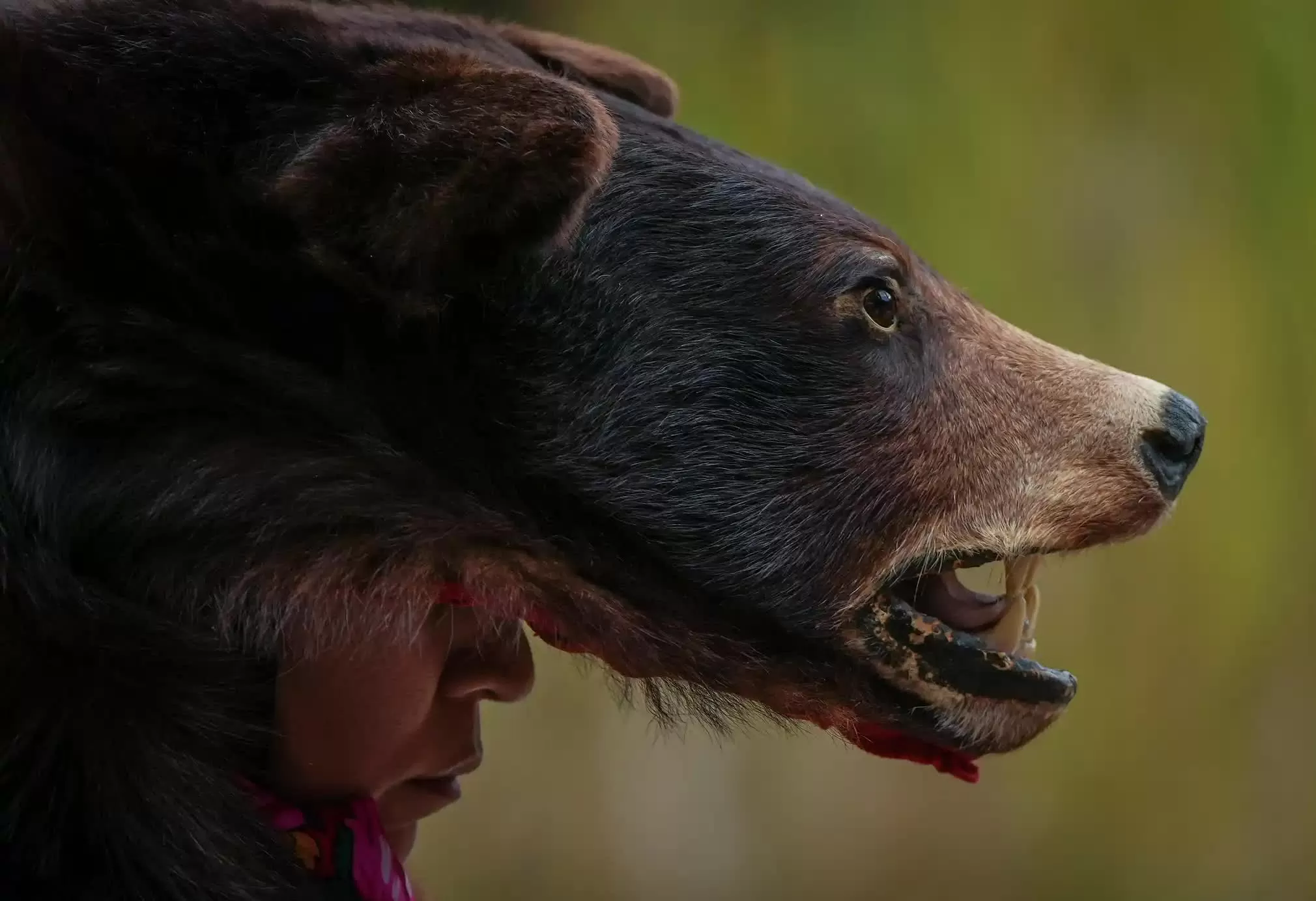 ảnh ấn tượng 5/10