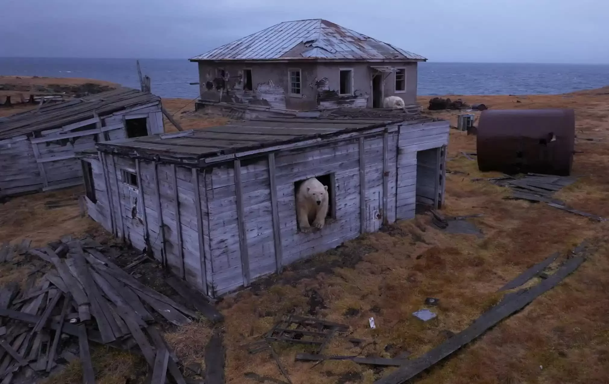 ảnh ấn tượng 5/10