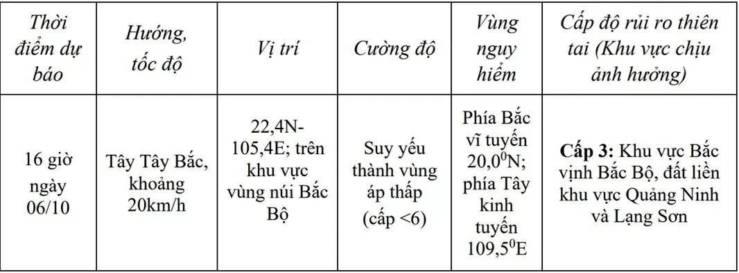 bão số 11