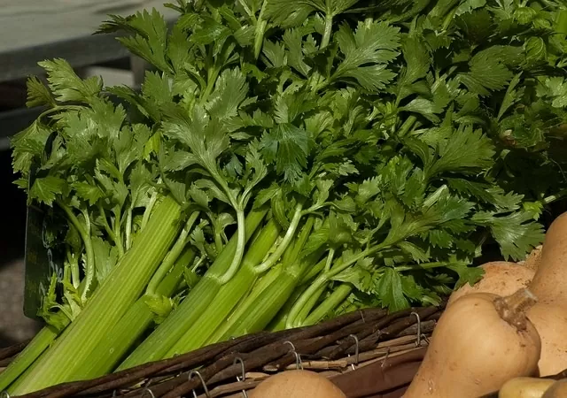 Bổ sung 3 loại rau nhuận tràng giúp đường ruột khỏe mạnh, cơ thể nhẹ nhàng