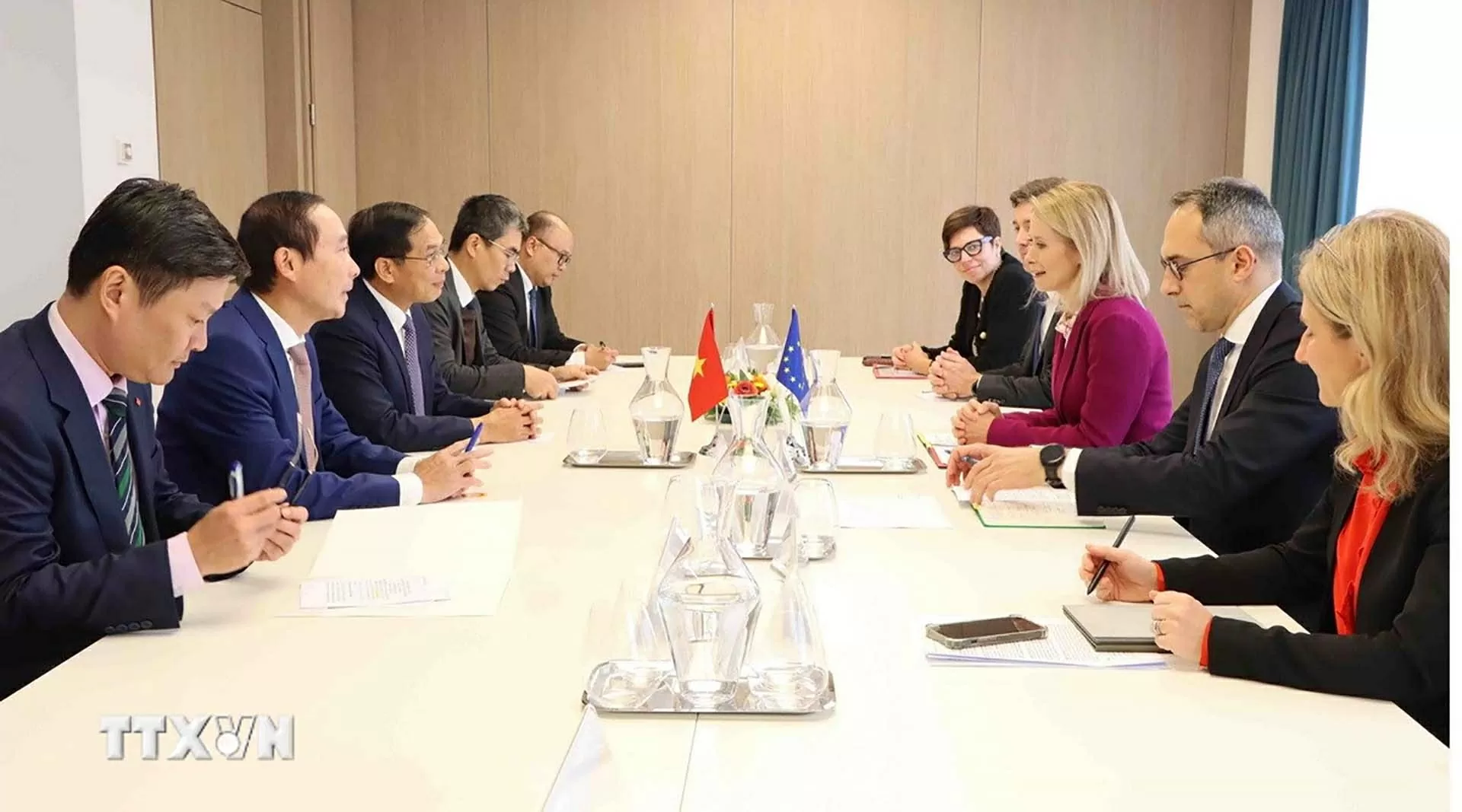 Phó Thủ tướng Chính phủ Bùi Thanh Sơn làm việc với Phó Chủ tịch Ủy ban châu Âu