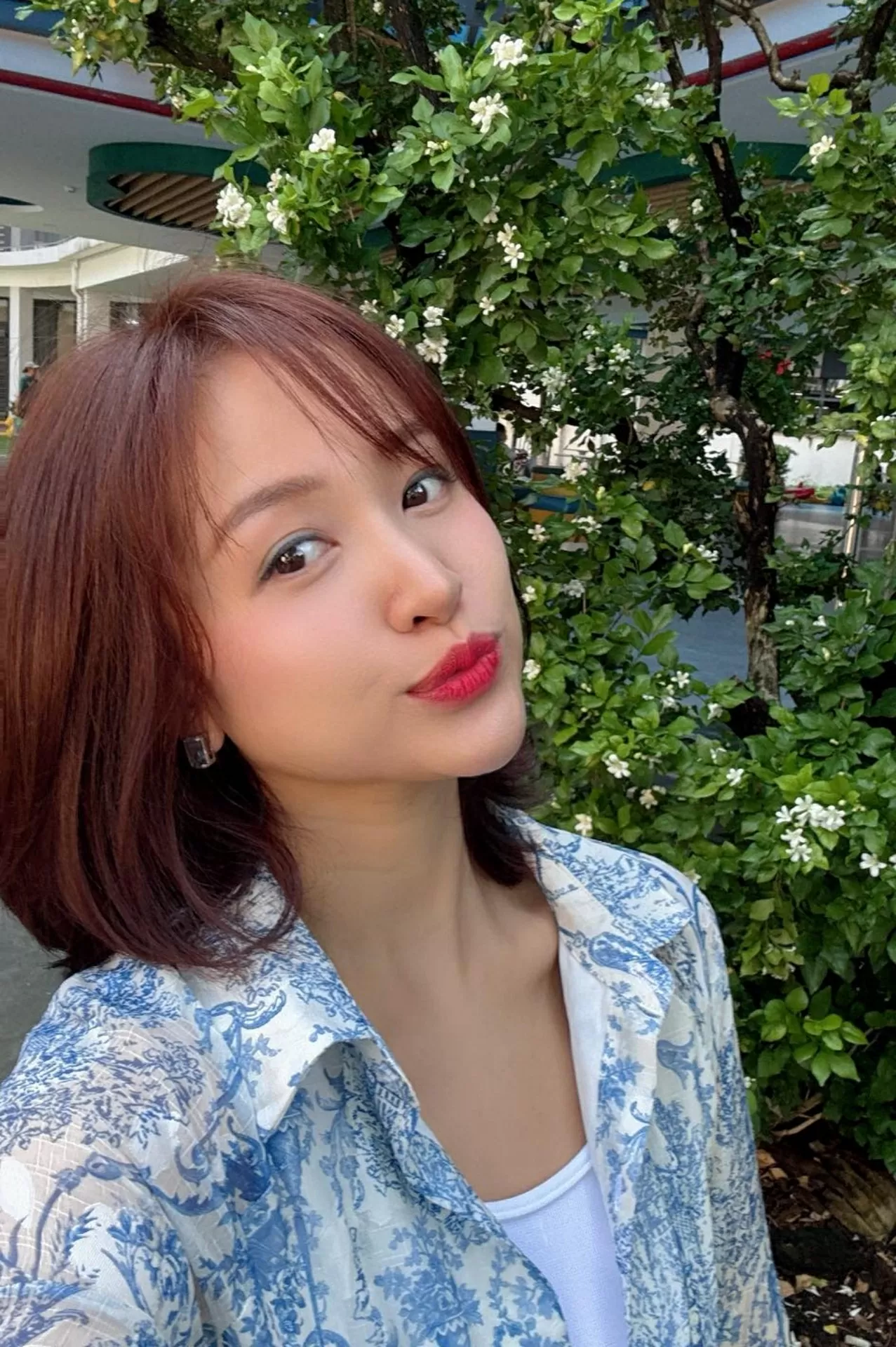 Sao Việt Sao Việt