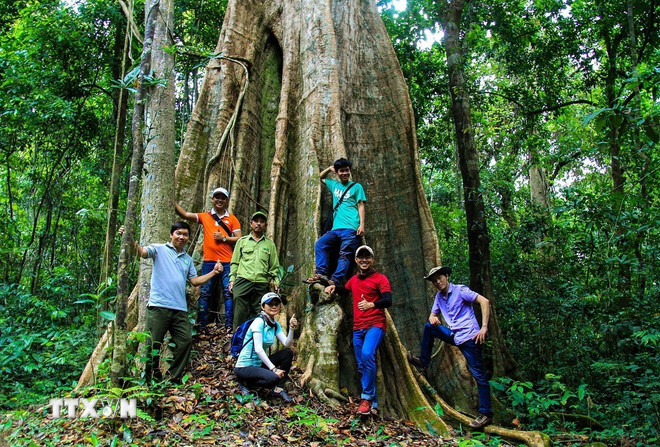 ttxvn-0910-khu-bao-ton-thien-nhien-van-hoa-dong-nai-1.jpg