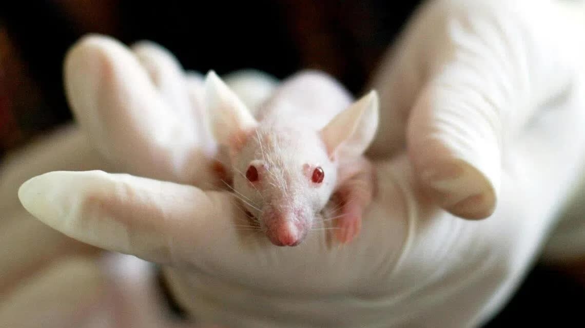 virus covid 19 co the anh huong toi cac the he sau