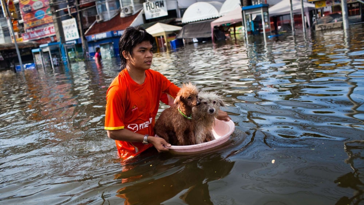 Thái Lan vật lộn với lũ lụt diện rộng, 11 trường hợp tử vong