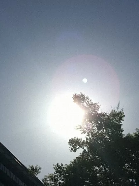 Nhật Bản: Mức nhiệt độ cao kỷ lục, tỷ lệ nam giới dùng ô che nắng tăng cao so với những năm trước