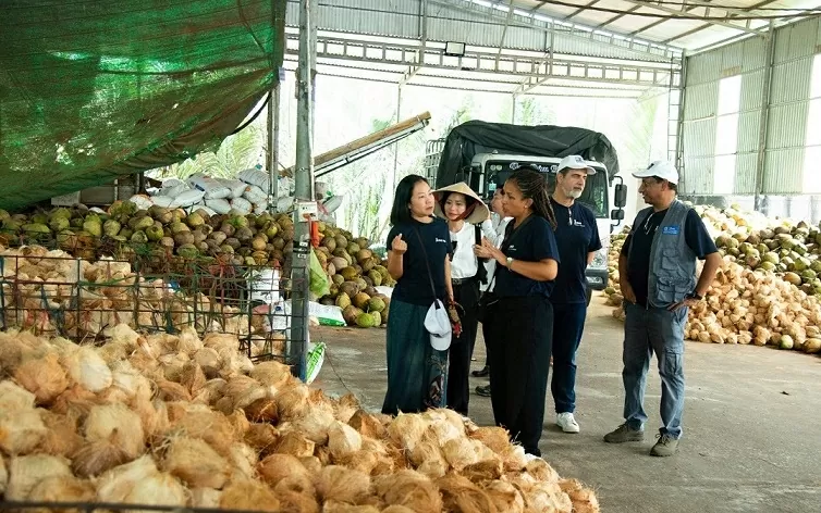 IFAD và Việt Nam: Hợp tác kiến tạo tương lai xanh, bền vững và bao trùm IFAD và Việt Nam: Hợp tác kiến tạo tương lai xanh, bền vững và bao trùm