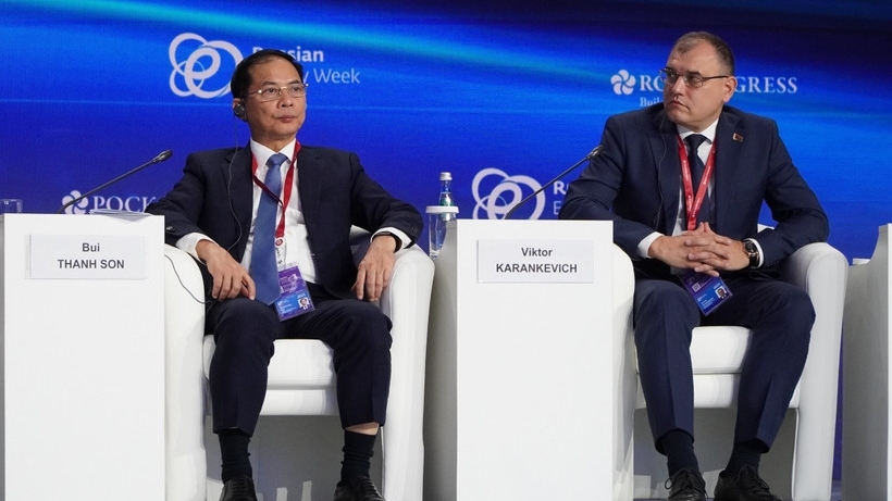 pho thu tuong bui thanh son phat bieu tai phien toan the dau tien cua dien dan tuan le nang luong nga lan thu 8