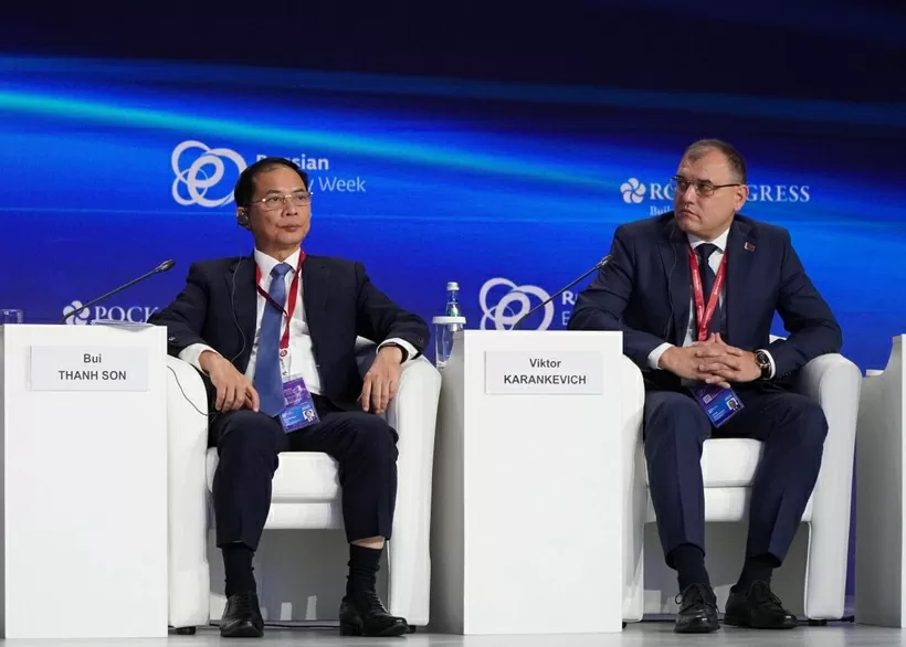 Phó Thủ tướng Bùi Thanh Sơn (Nguồn: TTXVN)