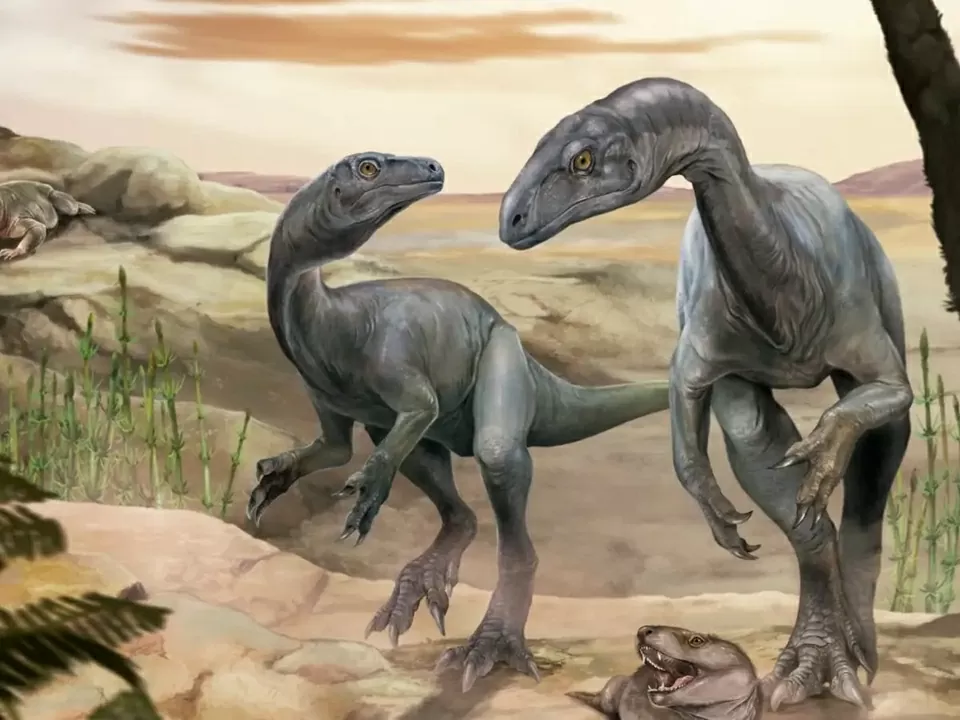 Phát hiện hóa thạch khủng long cổ nhất thế giới tại Argentina Phát hiện hóa thạch khủng long cổ nhất thế giới tại Argentina