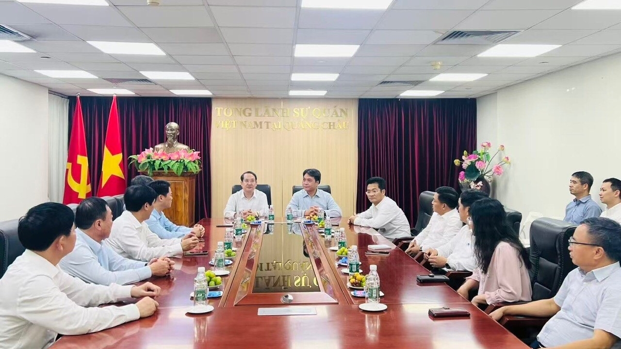 ninh binh day manh xuc tien dau tu tai quang dong trung quoc