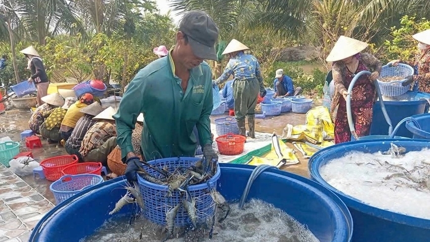Cà Mau hướng tới mục tiêu giảm nghèo đa chiều, bao trùm và bền vững