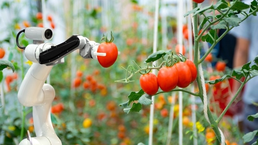 Chuyên gia gốc Việt hiến kế để Việt Nam đổi mới sáng tạo thành công