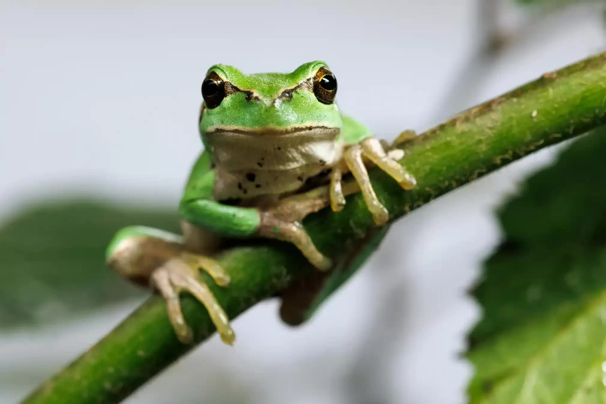 tin ấn tượng 19/10