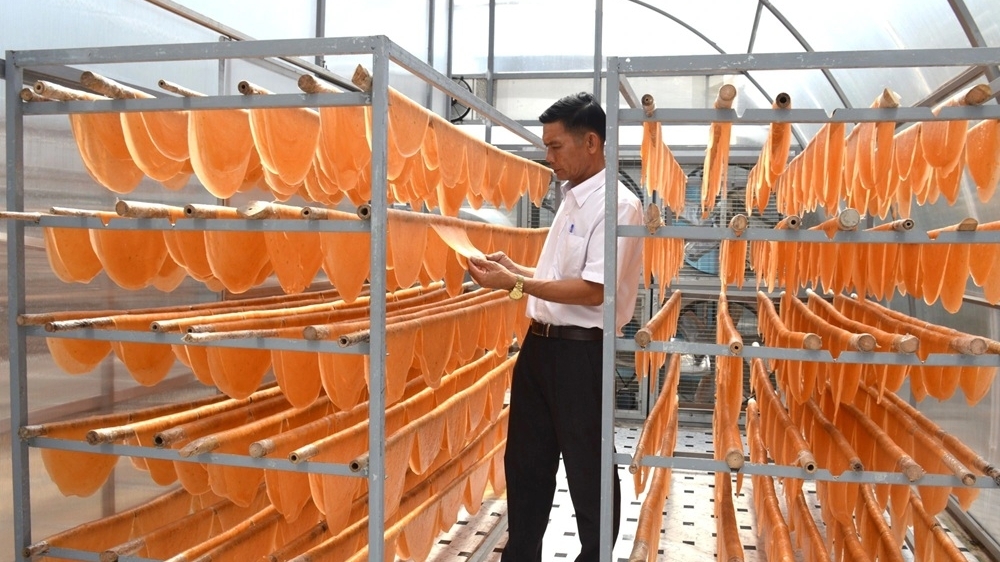 Chương trình OCOP tại Cà Mau: Nâng tầm sản vật địa phương, tạo sinh kế bền vững cho người dân