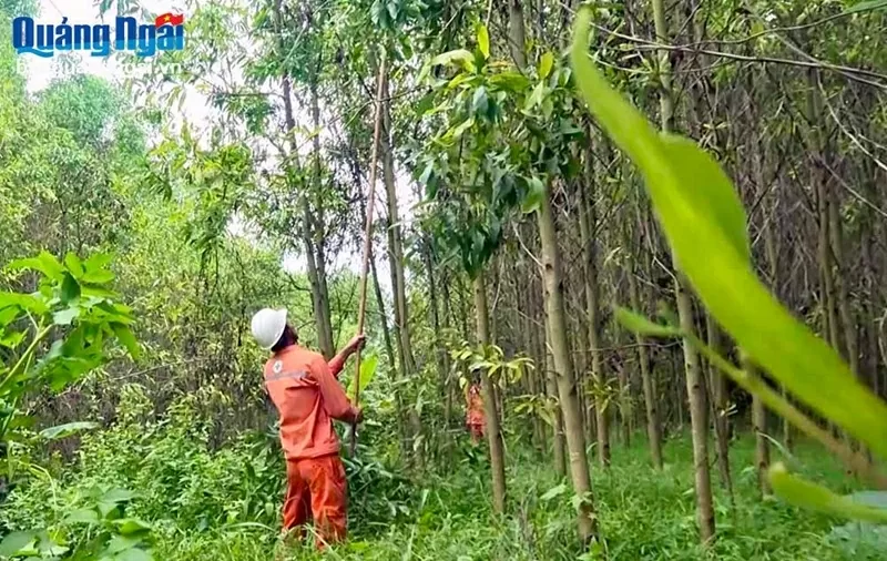 Lịch cúp điện Quảng Ngãi hôm nay ngày 22/10/2025