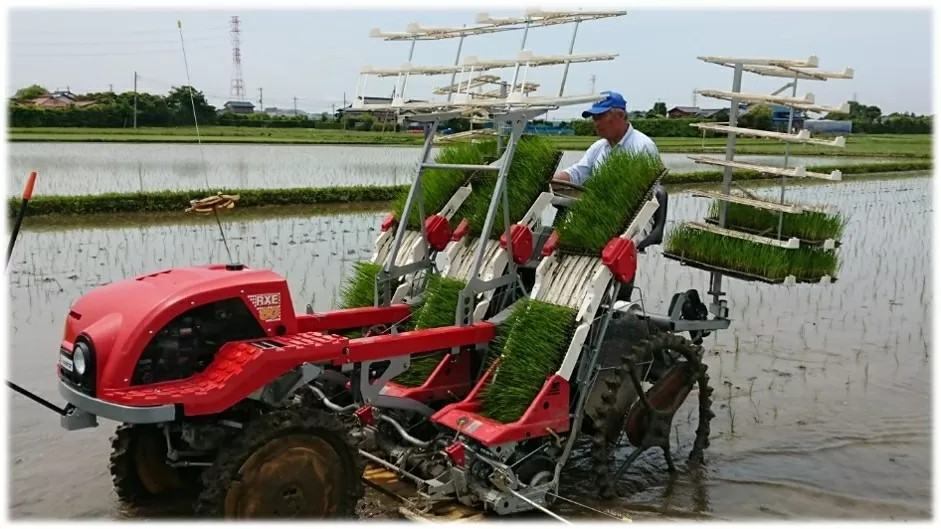 Biến bữa ăn học đường thành khoản đầu tư cho tương lai: Câu chuyện từ thành phố hữu cơ Kisarazu Nhật Bản
