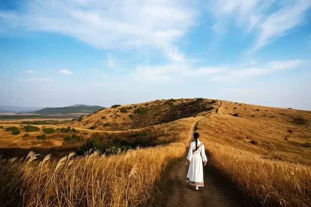 7 trải nghiệm 'đáng tiền' cho mùa thu Jeju 7 trải nghiệm 'đáng tiền' tận hưởng trọn vẹn mùa Thu Jeju