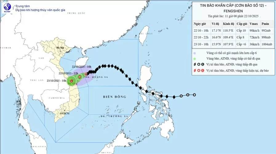 Bão số 12 cách TP. Đà Nẵng hơn 200km, khu vực Hà Tĩnh đến Quảng Ngãi mưa lớn diện rộng, nguy cơ cao xảy ra lũ quét và sạt lở đất