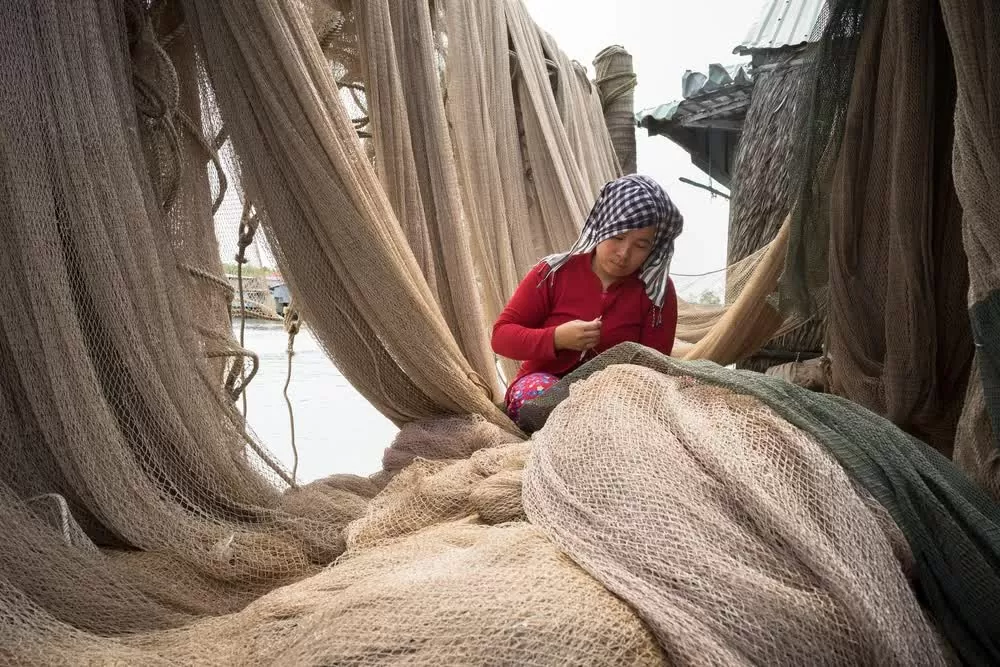 (Nguồn: Shutterstock)