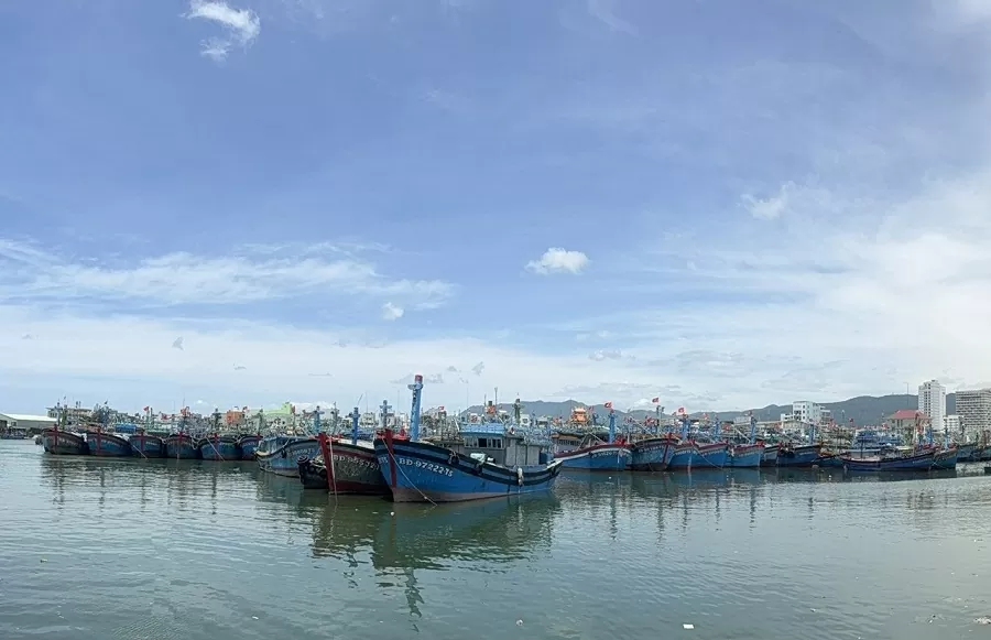 Cà Mau khẩn trương hoàn thành nhiệm vụ chống khai thác hải sản bất hợp pháp. (Ảnh: Lê Thanh)