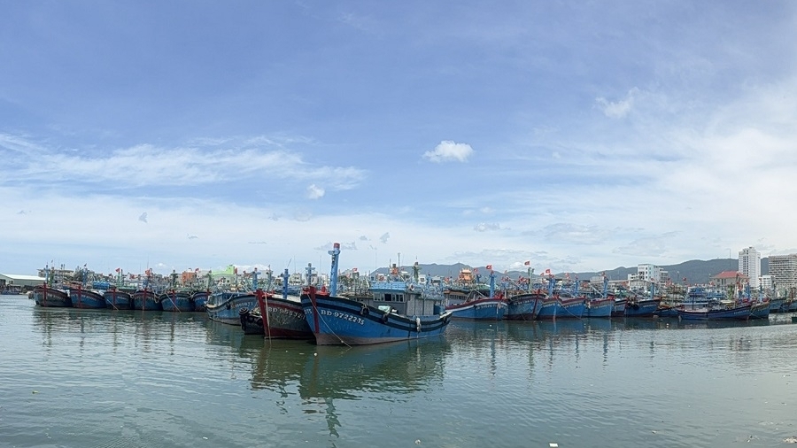 Cà Mau triển khai tháng cao điểm chống khai thác thủy sản bất hợp pháp, quyết tâm cùng cả nước gỡ 'thẻ vàng' IUU