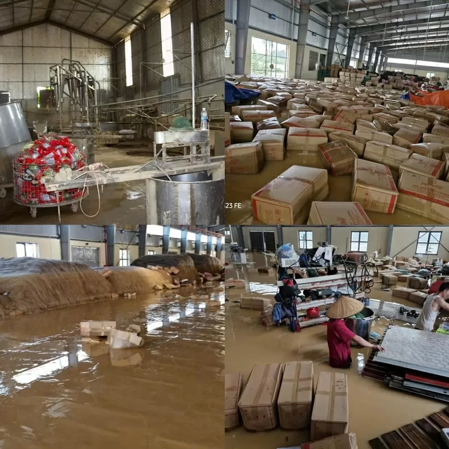 Xưởng miến của Hợp tác xã Việt Cường ngập hoàn toàn trong nước lũ.