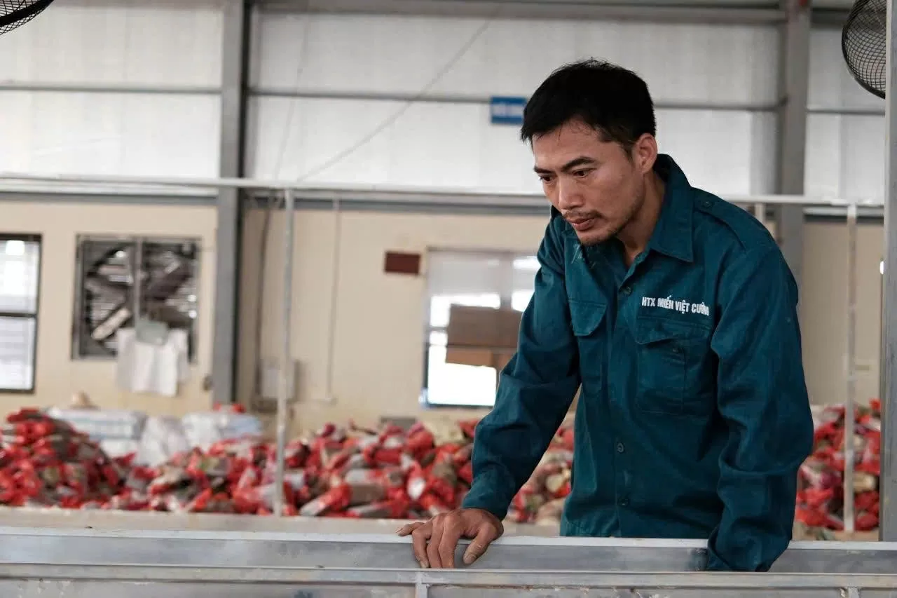 Anh Nguyễn Văn Ba, Giám đốc Hợp tác xã Việt Cường vẫn còn bần thần về những gì đang xảy ra.