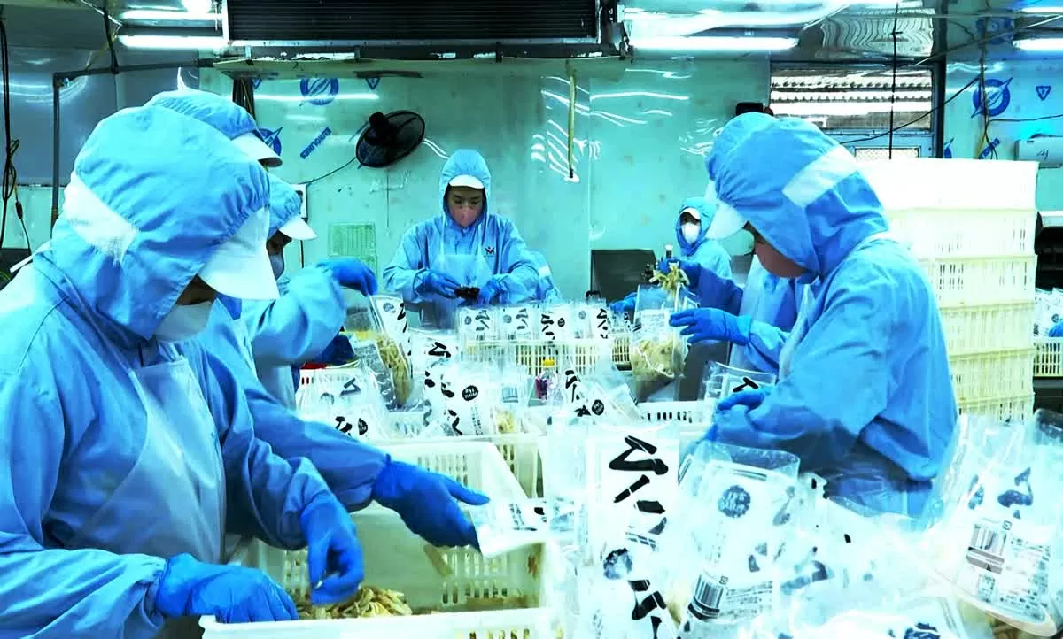 Khẳng định vị thế sản phẩm công nghiệp nông thôn Thái Nguyên trong chuỗi giá trị toàn cầu Khẳng định vị thế sản phẩm công nghiệp nông thôn Thái Nguyên trong chuỗi giá trị toàn cầu