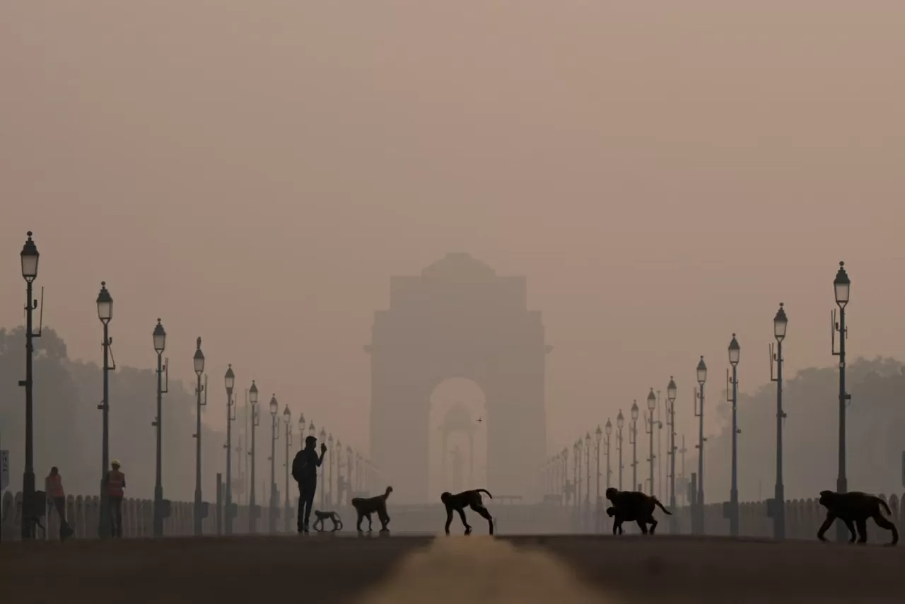 Ảnh ấn tượng: Quốc vương Anh công du đất thánh, EU-Ai Cập trong bước đi đầu tiên, Thái Lan-Campuchia bắt tay hoà bình