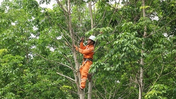 Lịch cúp điện Quảng Ngãi hôm nay ngày 28/10/2025