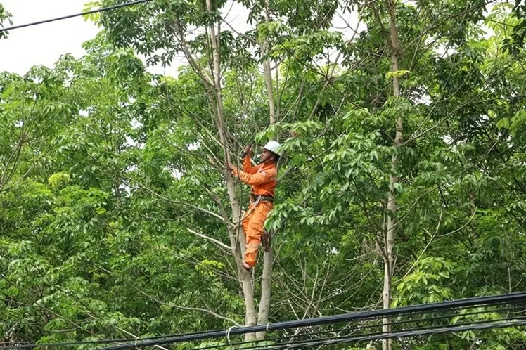 Lịch cúp điện Quảng Ngãi hôm nay ngày 28/10/2025