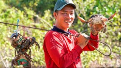 Nâng tầm sản vật chủ lực, góp phần nâng cao thu nhập cho người dân Cà Mau