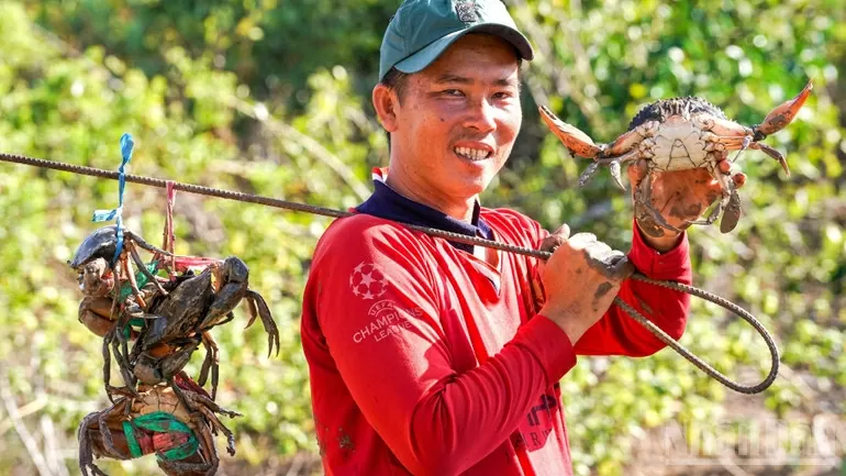 Với tiềm năng và lợi thế vốn có, Cà Mau phấn đấu đến năm 2030 tổng sản lượng đạt khoảng 40.000 tấn. (Nguồn: Nhân dân) Với tiềm năng và lợi thế vốn có, Cà Mau phấn đấu đến năm 2030 tổng sản lượng đạt khoảng 40.000 tấn. (Nguồn: Nhân dân)