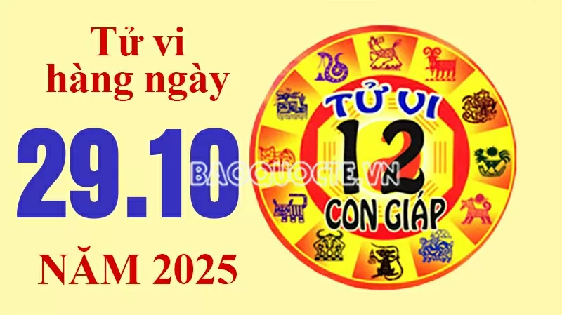 Tử vi hôm nay, xem tử vi 12 con giáp hôm nay ngày 29/10/2025: Tuổi Tý mở rộng đầu tư