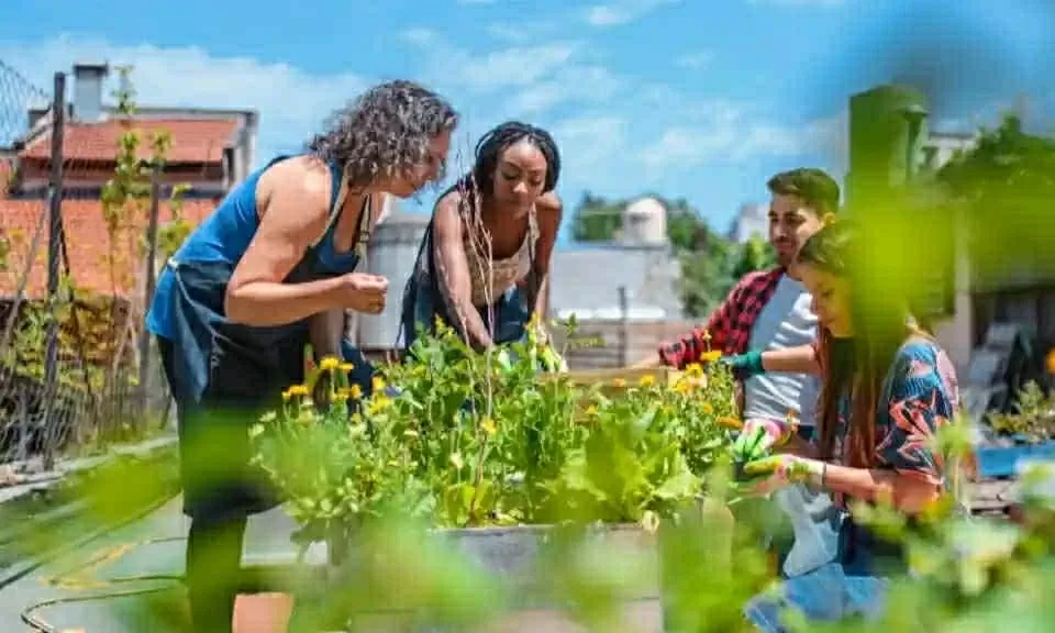 Hòa mình vào thiên nhiên cùng các lễ hội xanh đáng trải nghiệm nhất nước Anh Hòa mình vào thiên nhiên cùng các lễ hội xanh đáng trải nghiệm nhất nước Anh