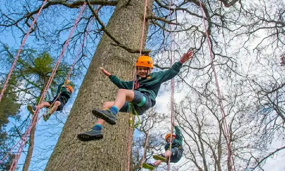 Hòa mình vào thiên nhiên cùng các lễ hội xanh đáng trải nghiệm nhất nước Anh