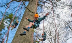 Hòa mình vào thiên nhiên cùng các lễ hội xanh đáng trải nghiệm nhất nước Anh