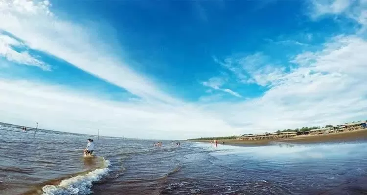 Khu du lịch biển Cồn Vành sở hữu giao thông thuận tiện, khung cảnh hoang sơ, hải sản tươi ngon.
