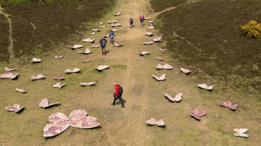 Những cung đường nghệ thuật đẹp nhất nước Anh trong mùa Thu này