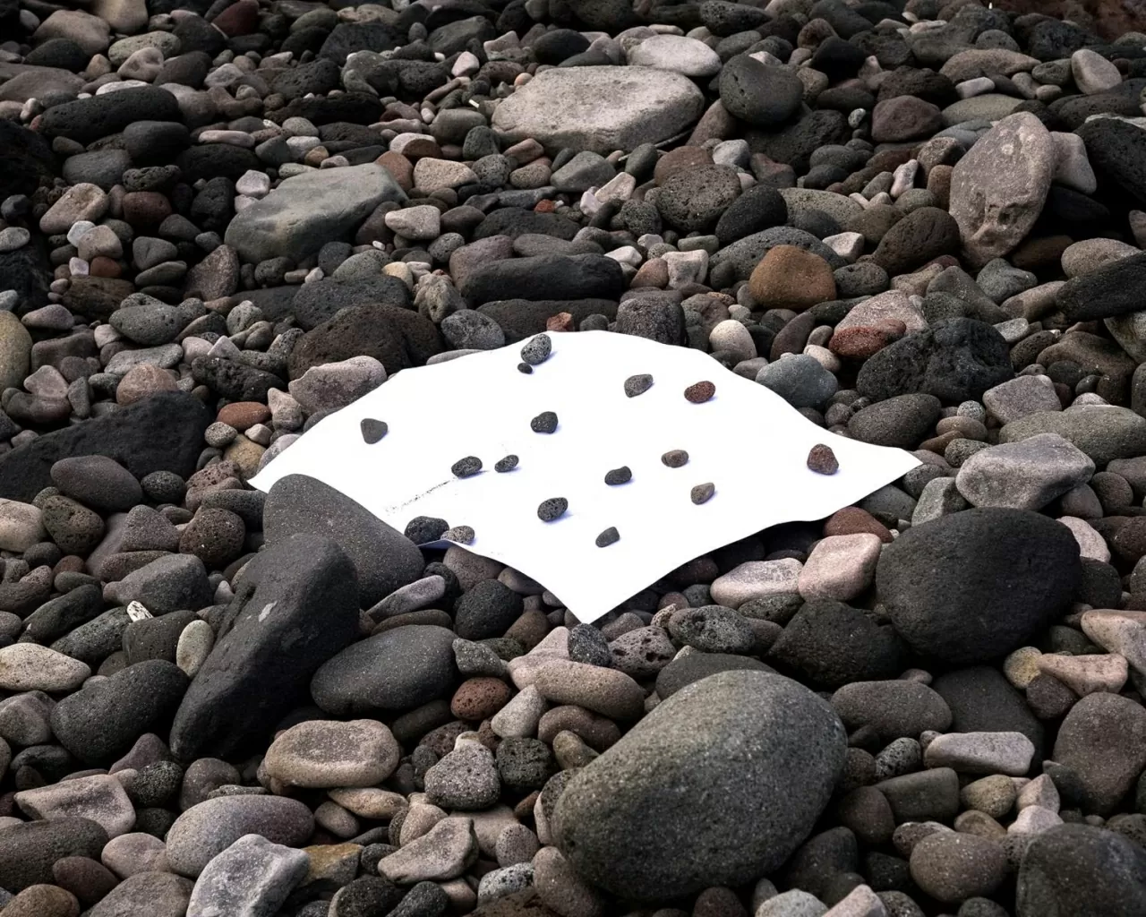 Câu chuyện về một thế giới lặng im giữa Địa Trung Hải