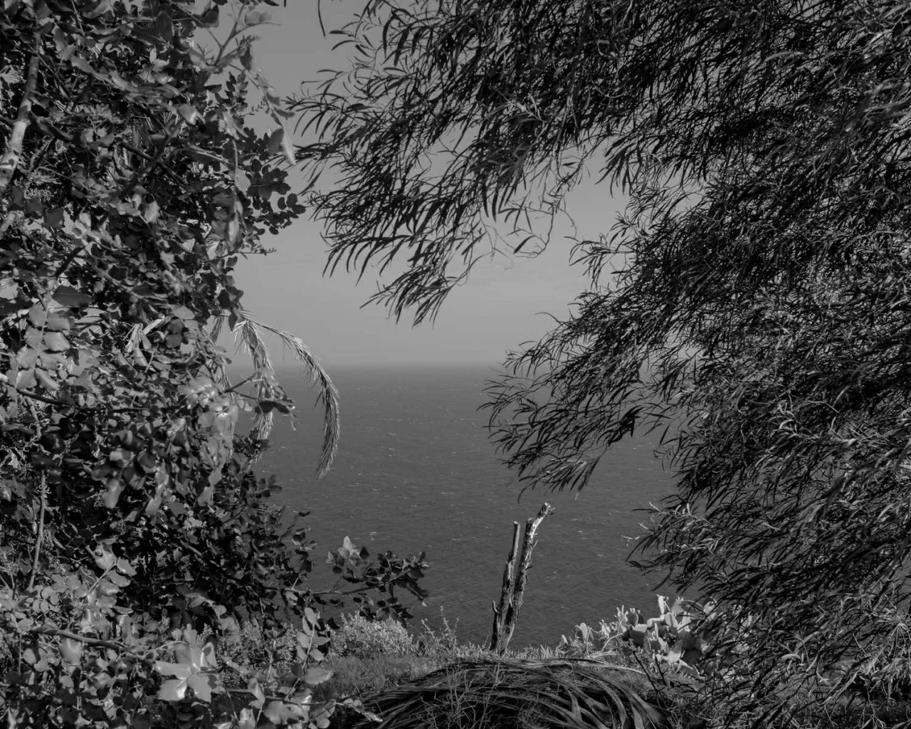 Câu chuyện về một thế giới lặng im giữa Địa Trung Hải