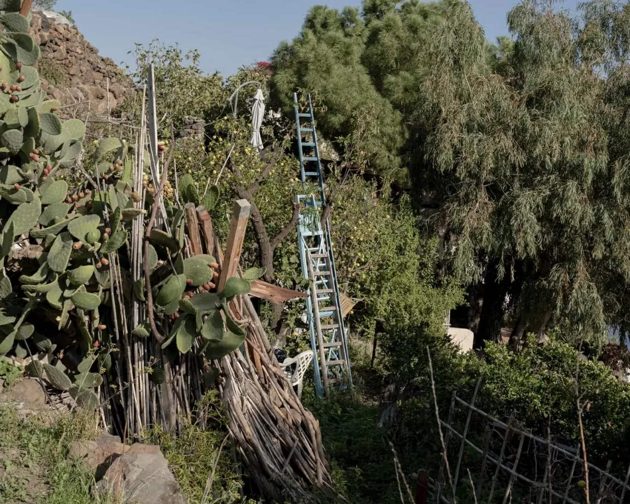 Câu chuyện về một thế giới lặng im giữa Địa Trung Hải