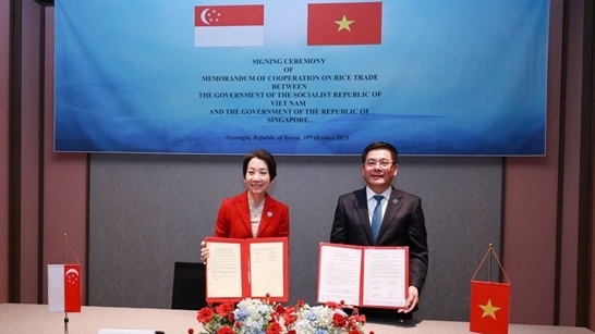 Singapore có thỏa thuận đầu tiên về thương mại gạo, vì sao chọn Việt Nam?