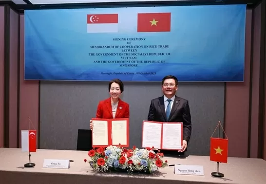 Singapore có thỏa thuận đầu tiên về thương mại gạo, vì sao chọn Việt Nam?