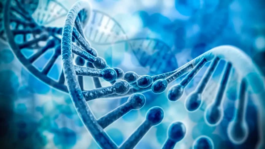 xac dinh thanh cong tuoi nguoi chi dua tren mau adn