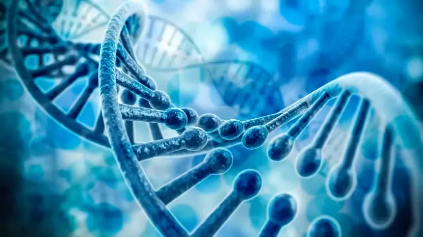 Phát triển thành công công cụ xác định tuổi dựa trên ADN Xác định thành công tuổi người chỉ dựa trên mẫu ADN