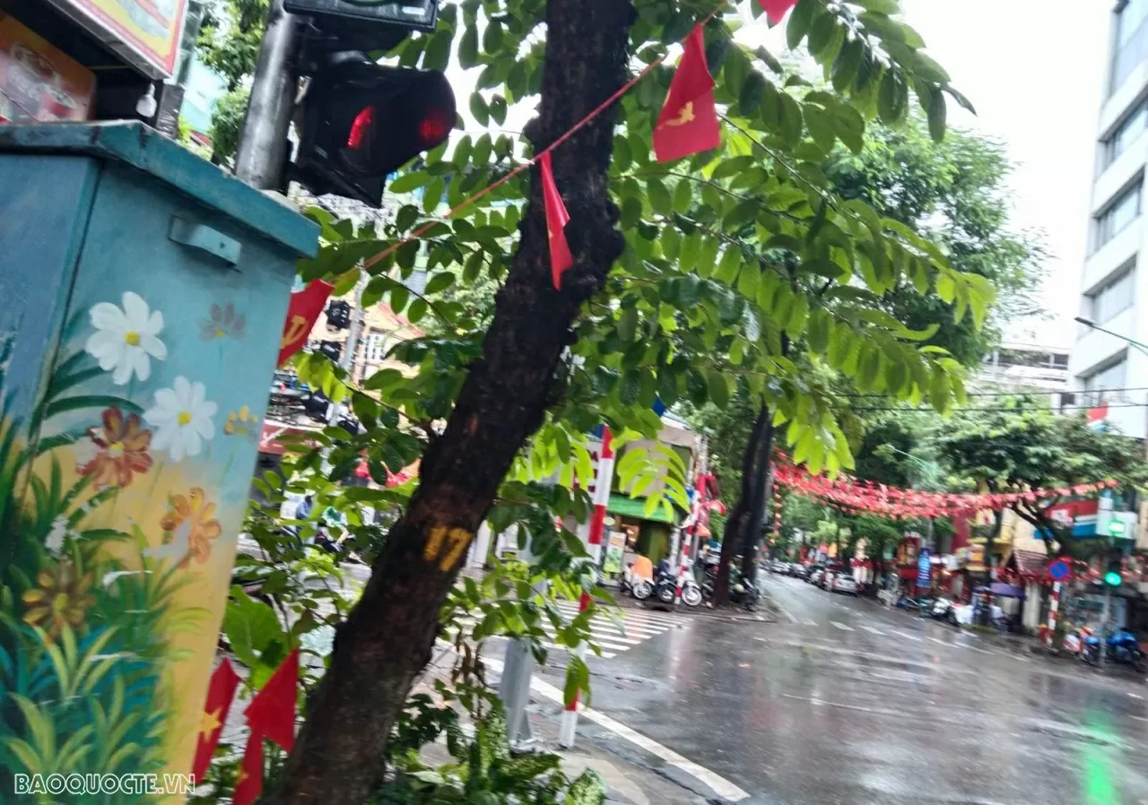 Dự báo thời tiết 10 ngày tới (2-12/11): Bắc Bộ, Thanh Hoá có mưa, trời rét, vùng núi cao rét đậm; Nam Nghệ An đến Quảng Ngãi mưa lớn diện rộng