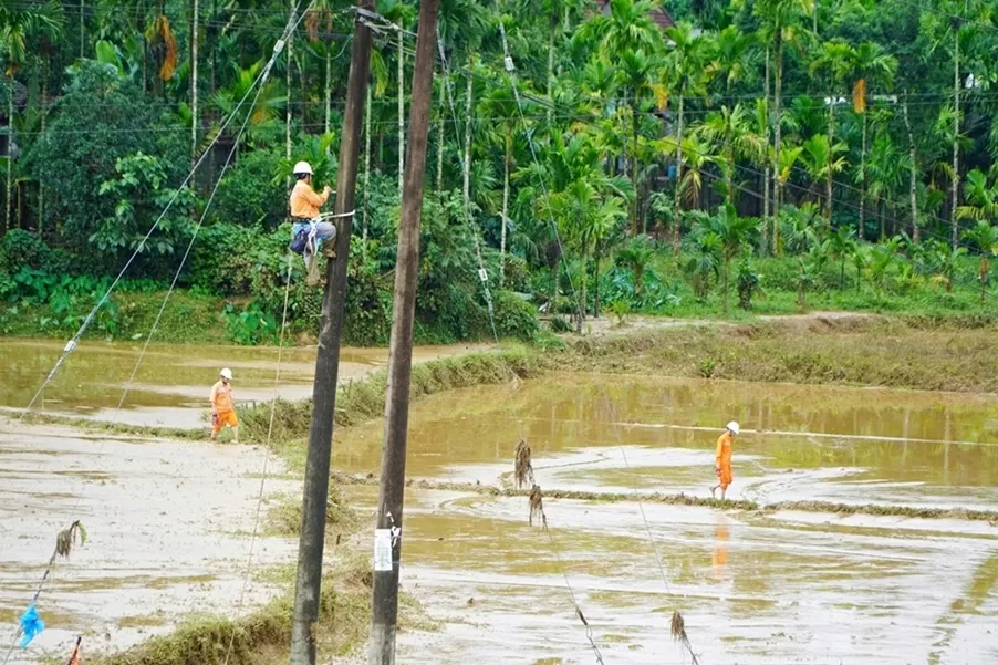 Lịch cúp điện Quảng Ngãi hôm nay ngày 4/11/2025