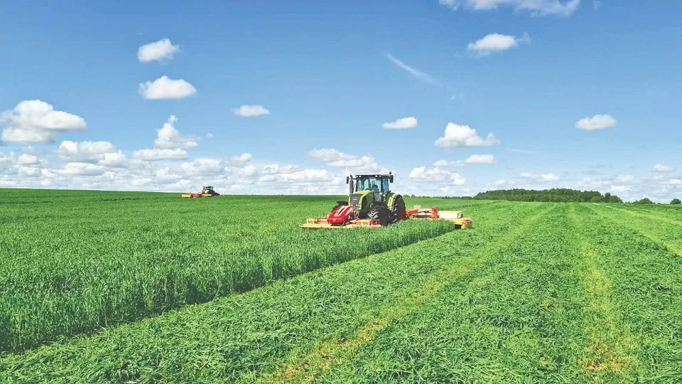 Tổng thống Nga Vladimir Putin: Các dự án của bà Thái Hương góp phần tăng cường hợp tác chiến lược giữa hai nước